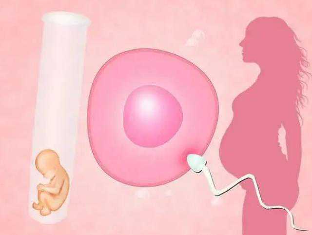 泰国公立代怀流程,广州供卵中心|泰国第三代试管婴儿生男孩会有缺陷吗？